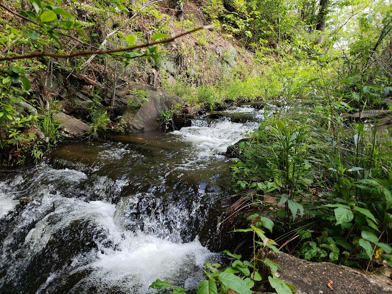 Waterfall Wonders: Morgan Lake, Oxford, Alabama surrounding landscape