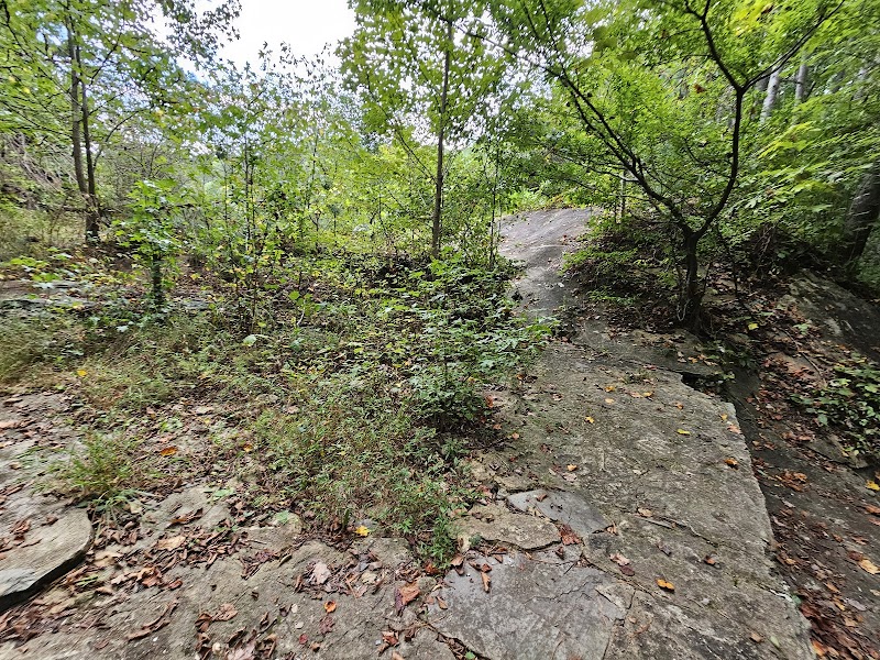Waterfall Wonders: Morgan Lake, Oxford, Alabama outdoor detail