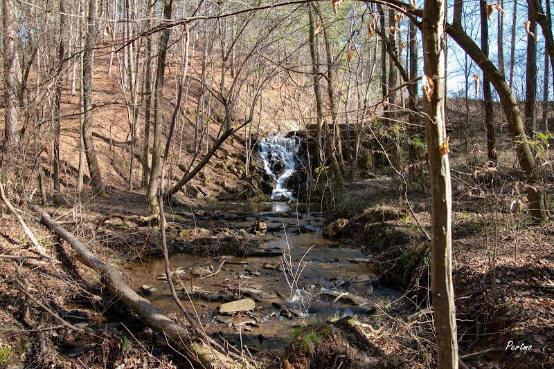 Waterfall Wonders: Morgan Lake, Oxford, Alabama - Morgan Lake Waterfalls
