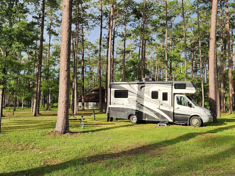 Discover the Wilderness of Apalachicola National Forest surrounding landscape