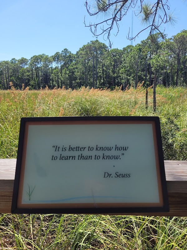 Coastal Wonders: Apalachicola National Estuarine Research Reserve - Apalachicola National Estuarine Research Reserve