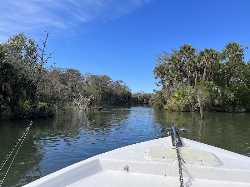 Discover the Wonders of Apalachicola outdoor detail