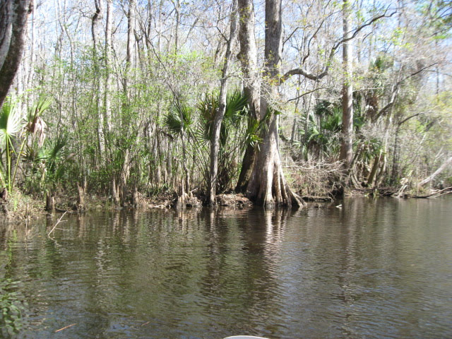 Discover the Wonders of Apalachicola - Apalachicola River Wildlife and Environmental Area