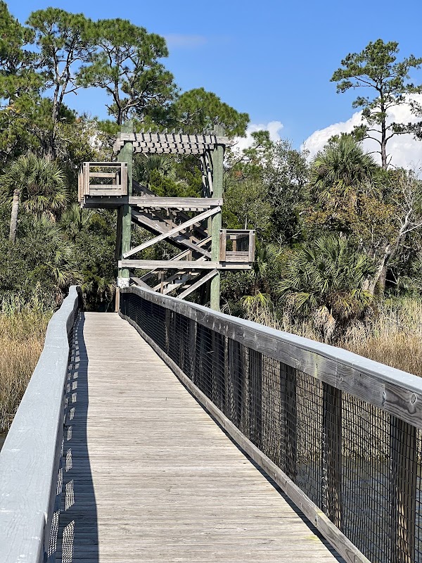 Discover the Wonders of Apalachicola surrounding landscape