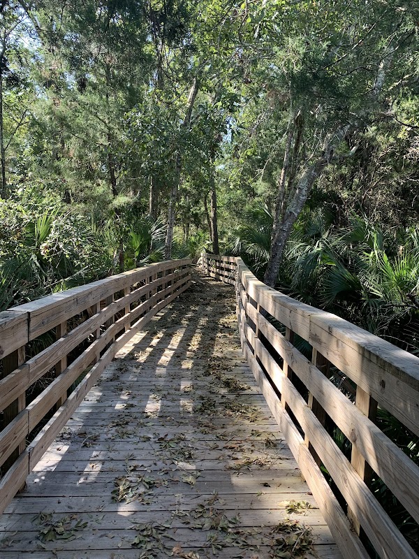Winding Paths at Scipio Creek Boardwalk - Scipio Creek Boardwalk