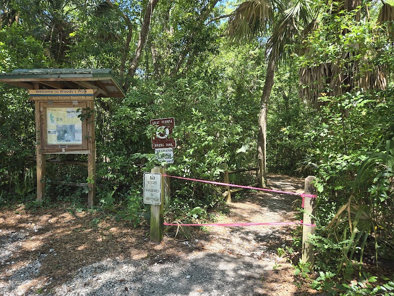 Winding Paths at Scipio Creek Boardwalk - Scipio Creek Boardwalk