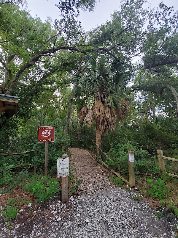 Winding Paths at Scipio Creek Boardwalk surrounding landscape