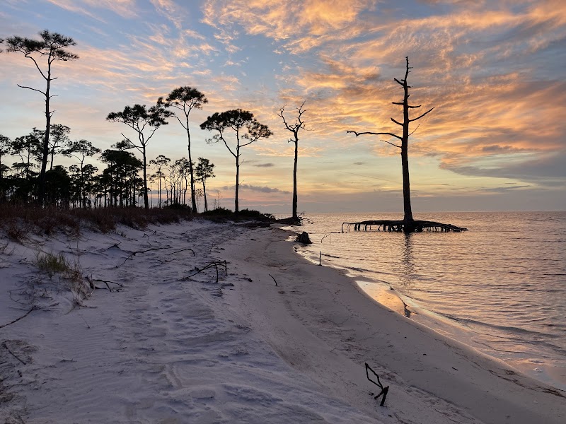Dr. Julian G. Bruce St. George Island State Park: A Coastal Oasis outdoor detail
