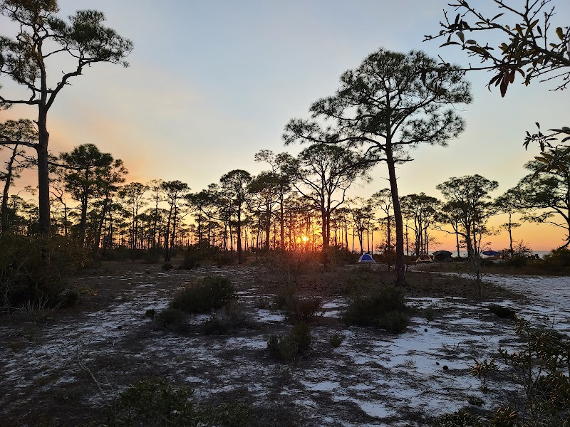 Dr. Julian G. Bruce St. George Island State Park: A Coastal Oasis surrounding landscape