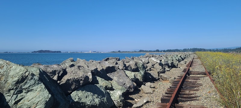Strolling Along the Eureka Waterfront Trail surrounding landscape