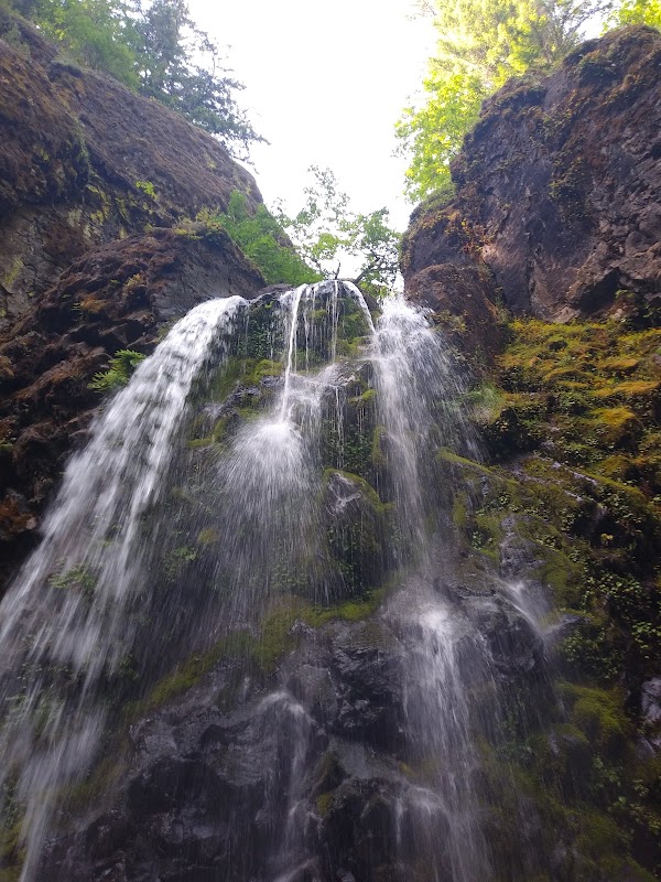 Discover the Cascading Beauty of Fall Creek Falls - Fall Creek Falls