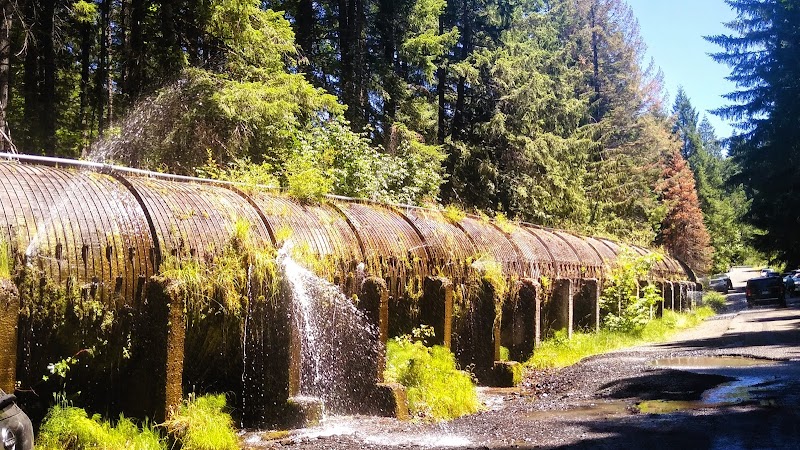 A Serene Cascade: Duwee Falls in Oregon surrounding landscape