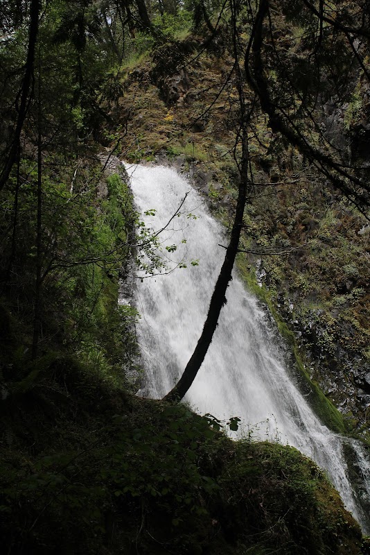 Waterfall Wonder: Susan Creek Falls - Susan Creek Falls