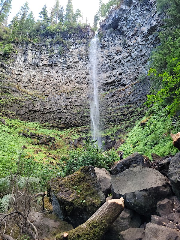 Waterfall Adventures at Watson Falls surrounding landscape
