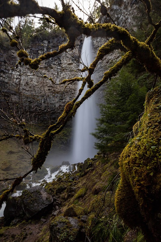 Waterfall Adventures at Watson Falls - Watson Falls