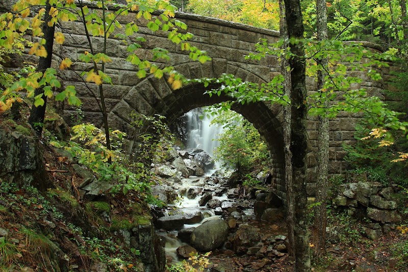 Discover the Serenity of Hadlock Falls surrounding landscape