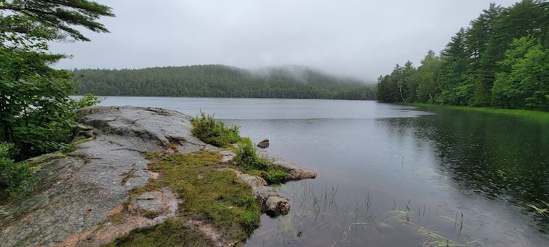 Discover the Serenity of Hadlock Falls outdoor detail