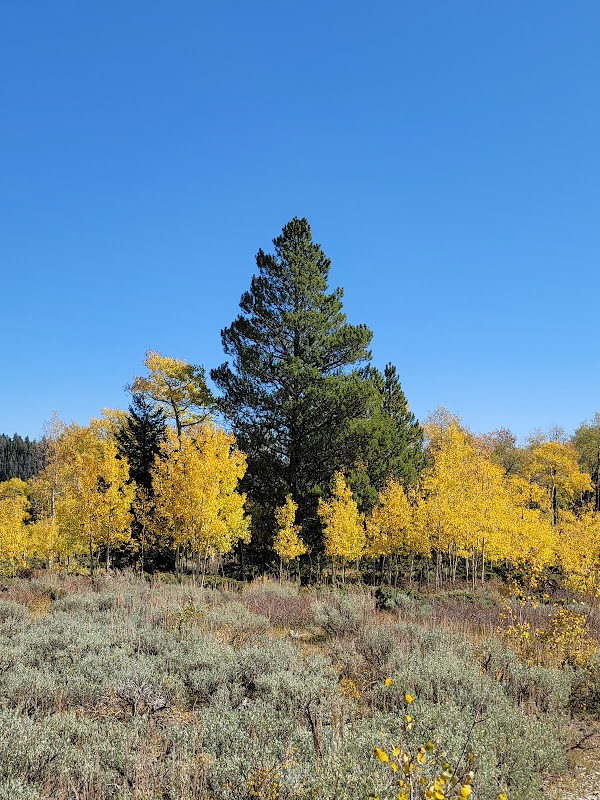 Aspen Nature Trail: Vernal's Green Haven surrounding landscape