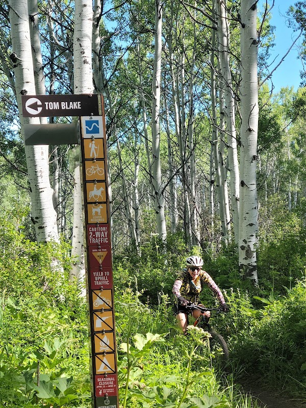 Hiking in Aspen’s Beauty: Tom Blake Trailhead - Tom Blake Trailhead
