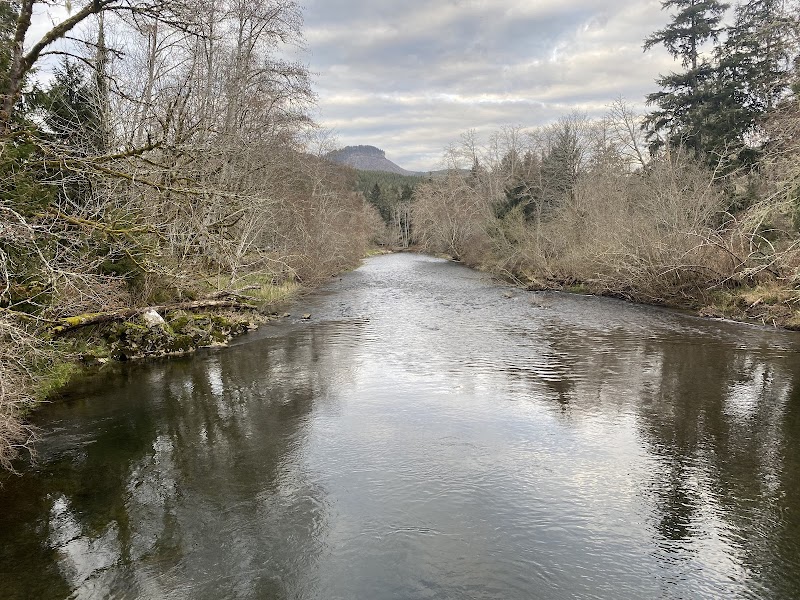 Giant Sitka Spruce Stump at Klootchy Creek County Park surrounding landscape