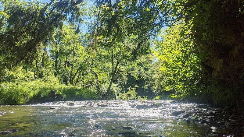 Waterfall Wonder at Young's River Falls - Young's River Falls Park - Astoria Parks & Recreation