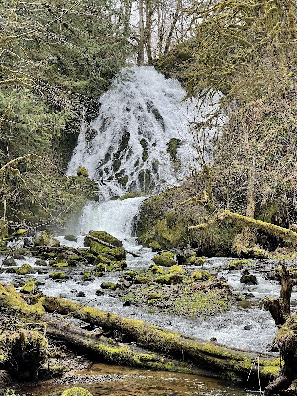 Waterfall Wonder at Lee Wooden Fishhawk Falls County Park - Lee Wooden Fishhawk Falls County Park