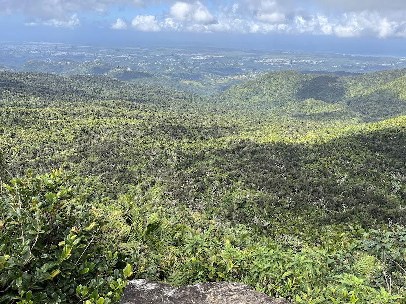 Hiking El Toro Trail in Canóvanas, Puerto Rico outdoor detail