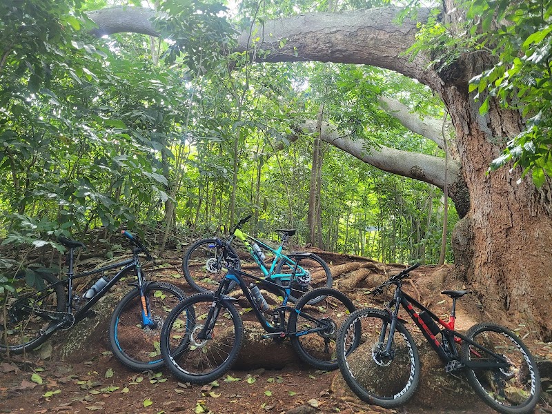 Guánica, Puerto Rico adventures