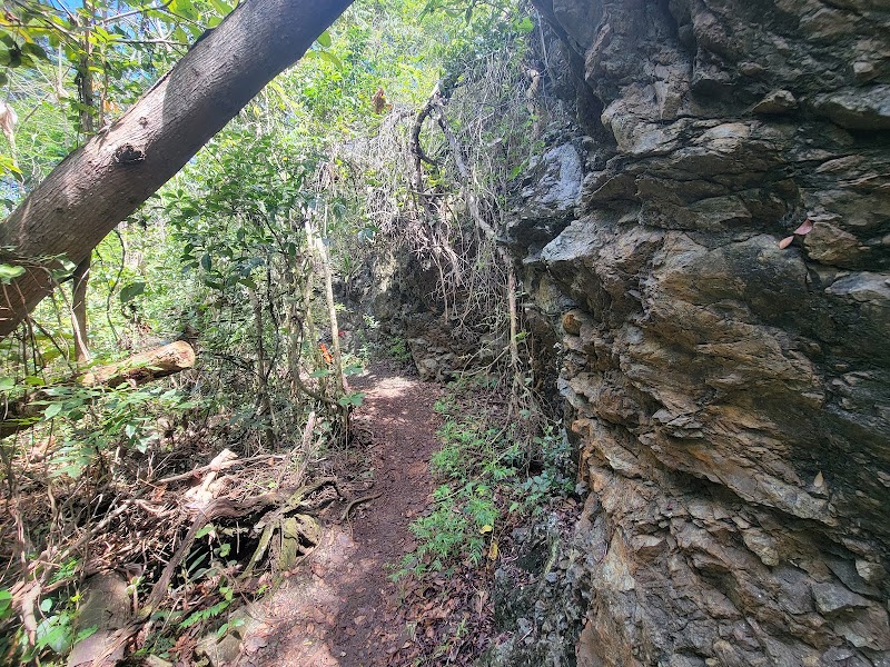 Mountain Biking and Hiking at Monte Pirata, Cabo Rojo surrounding landscape