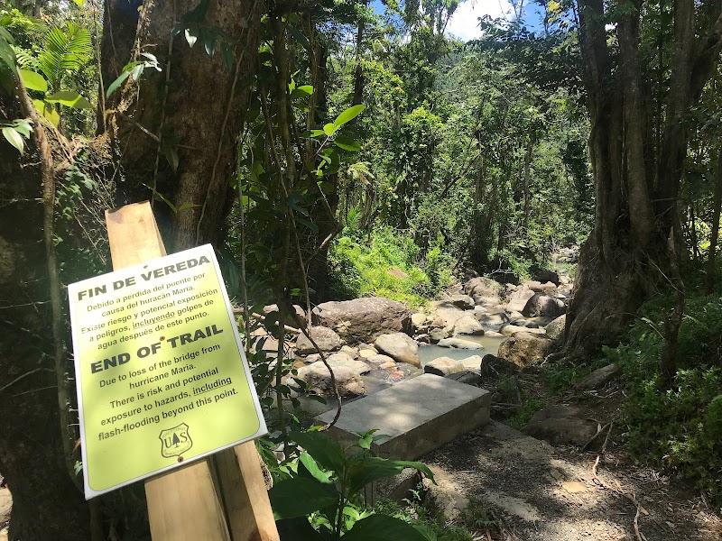 River & Rocks Adventure at Vereda Angelito, Luquillo surrounding landscape