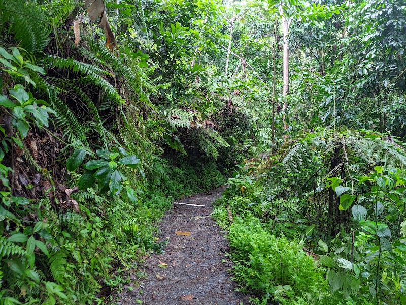 River & Rocks Adventure at Vereda Angelito, Luquillo outdoor detail