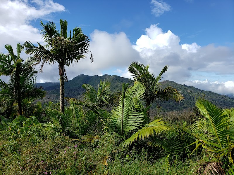 Scenic Trail at Torre Mount Britton Trailhead, Río Grande - Torre Mount Britton Trailhead