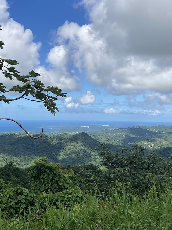 Scenic Trail at Torre Mount Britton Trailhead, Río Grande surrounding landscape
