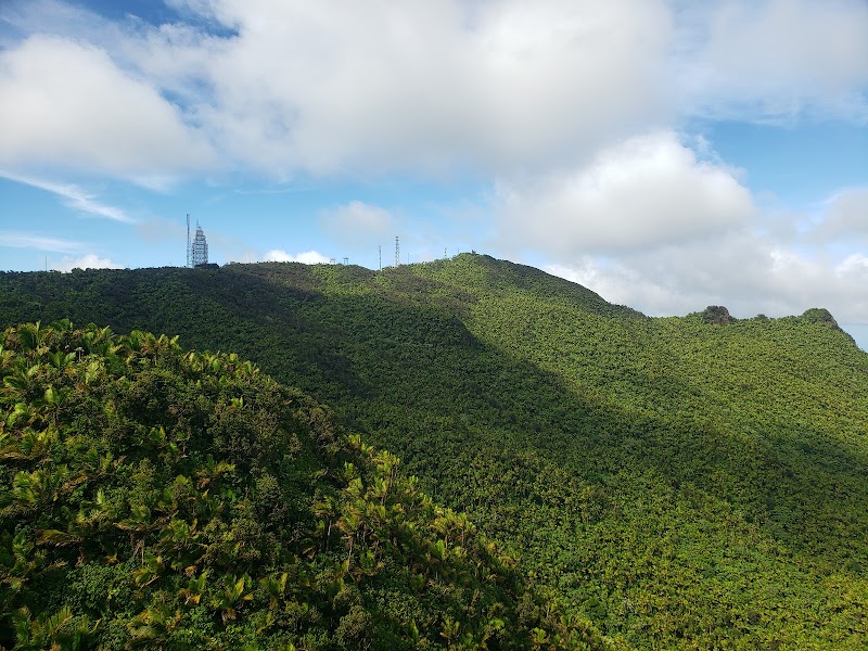 Scenic Trail at Torre Mount Britton Trailhead, Río Grande - Torre Mount Britton Trailhead