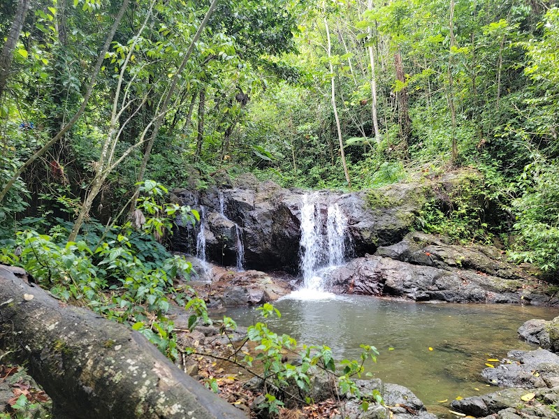 Waterfall Wonders at Cascada Charco Prieto, Bayamón - Cascada Charco Prieto