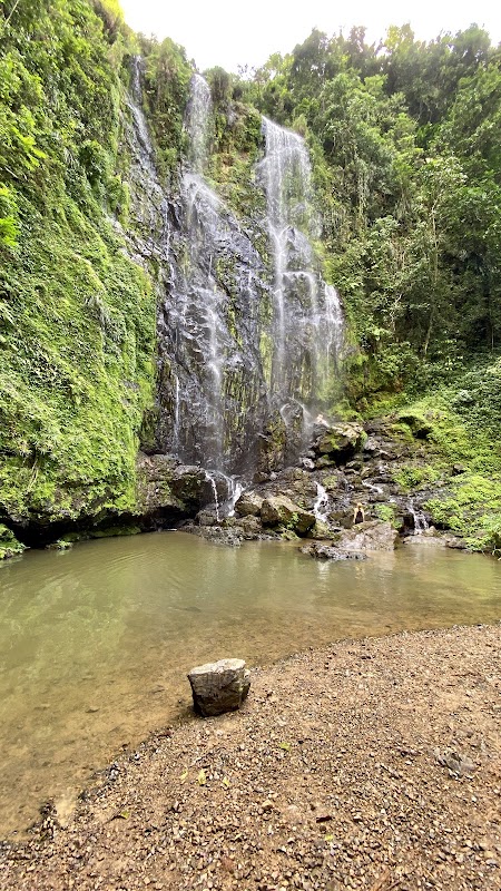 Waterfall Wonders at Cascada Charco Prieto, Bayamón outdoor detail
