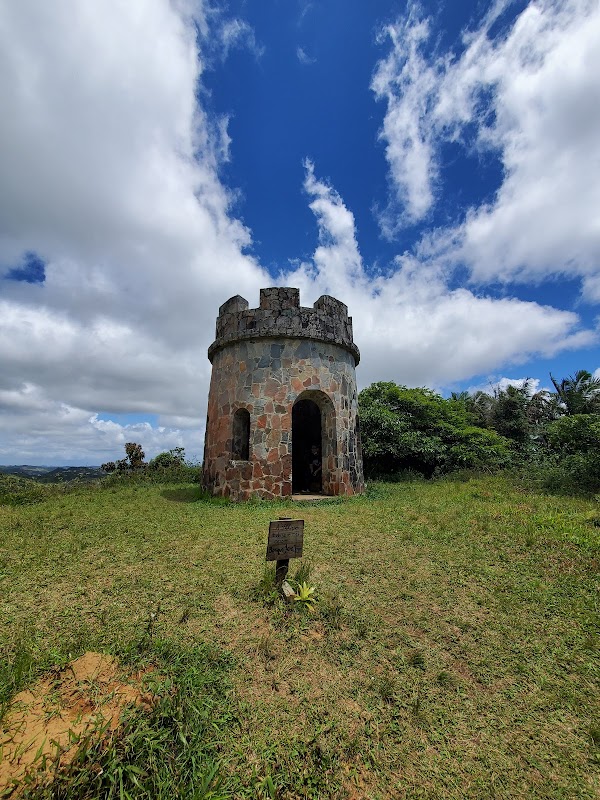 Mountain Forest Adventure at Bosque Estatal Toro Negro surrounding landscape