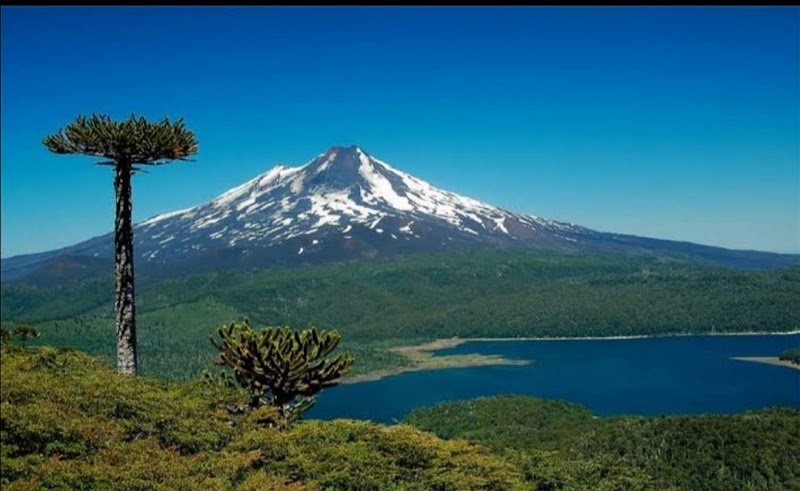 Volcanic Adventure at Llaima in Araucania, Chile - Llaima