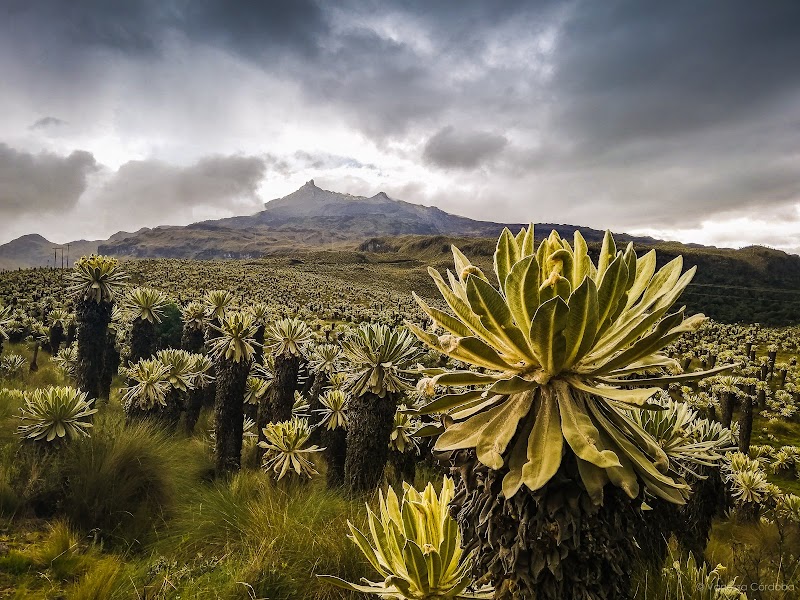 Volcanic Majesty of Chiles near Cumbal, Nariño - Chiles