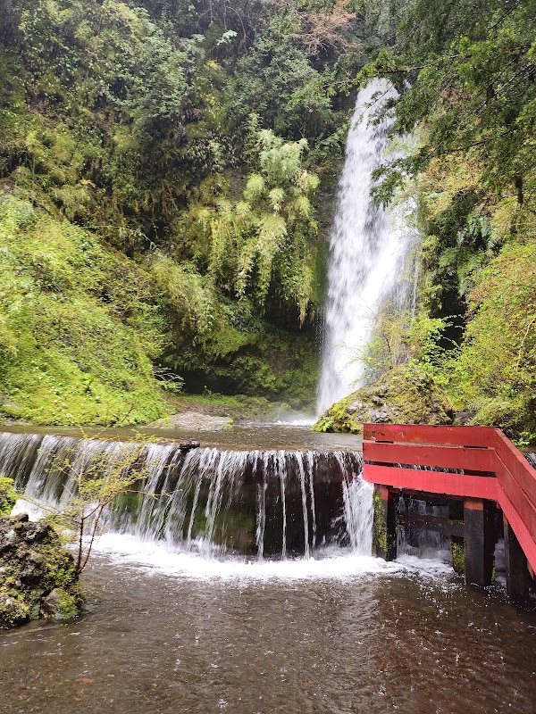 Volcanic Majesty at Parque Nacional Villarrica in Chile - Parque Nacional Villarrica