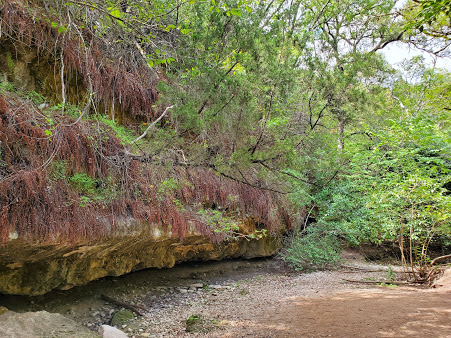 Scenic Stream & Nature at Turkey Creek Trailhead, Austin - Turkey Creek Trailhead