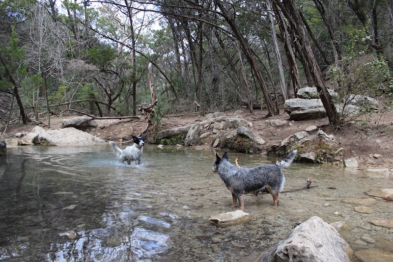 Scenic Stream & Nature at Turkey Creek Trailhead, Austin - Turkey Creek Trailhead