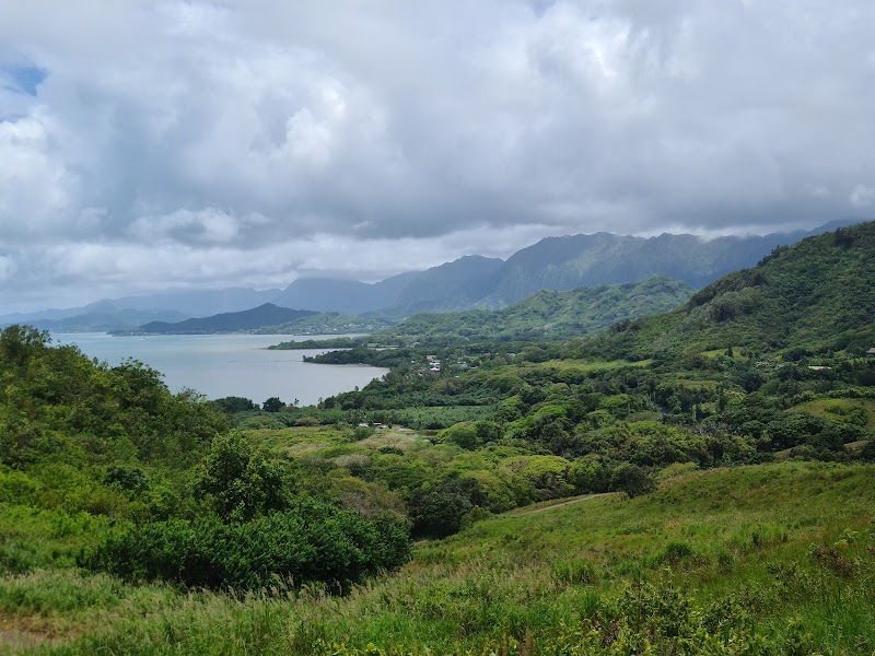 Coastal Forest and Valley Adventure at Ahupuaʻa ʻO Kahana State Park - Ahupuaʻa ʻO Kahana State Park