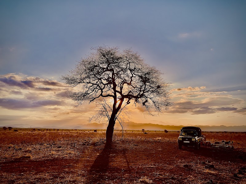 Wildlife Wilderness at Meru National Park - Meru National Park
