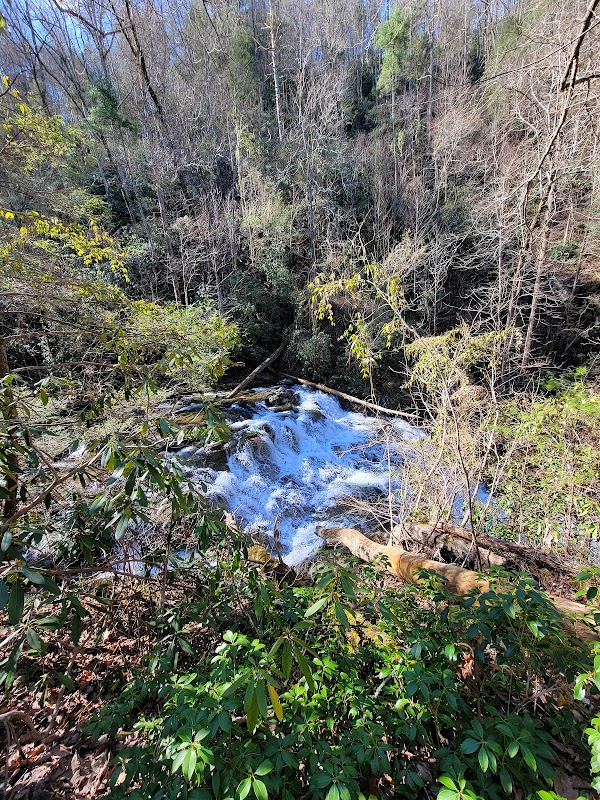 Conasauga Falls Trail – Scenic Waterfall Escape near Tellico Plains, TN surrounding landscape