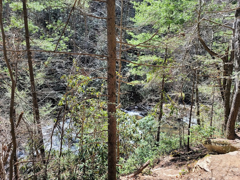 Conasauga Falls Trail – Scenic Waterfall Escape near Tellico Plains, TN outdoor detail