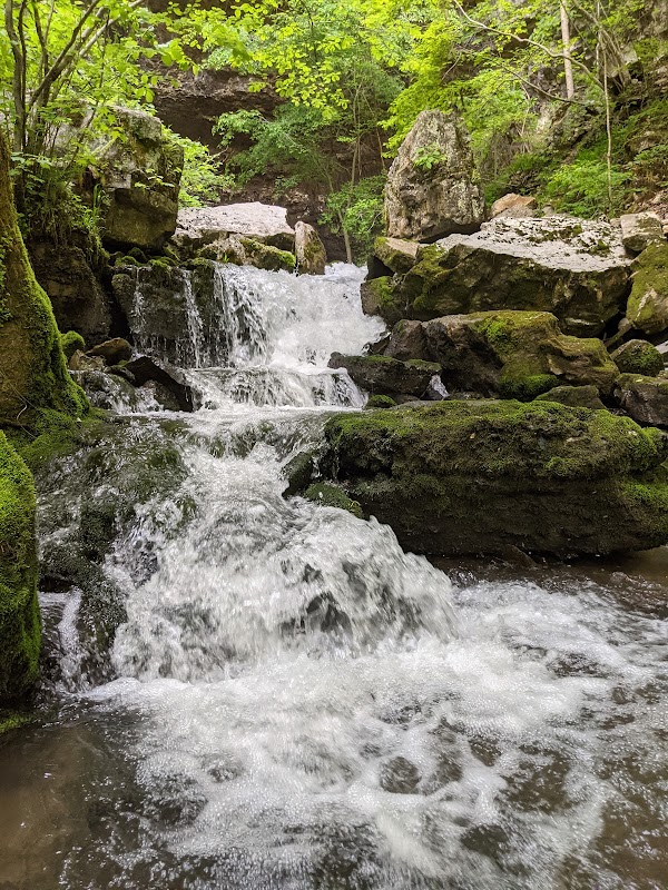 Buggy Top Cave Trailhead - Sherwood, TN Natural Gem surrounding landscape