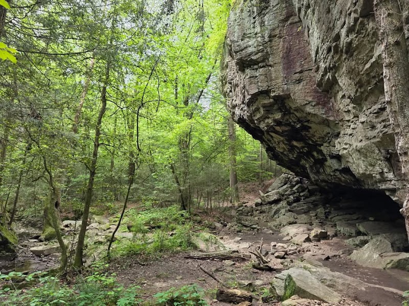 Waterfall Wonder at Sycamore Falls, Tracy City, TN surrounding landscape