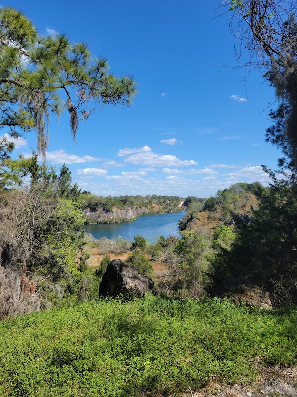 Adventure Zip Lining at The Canyons in Ocala, Florida surrounding landscape