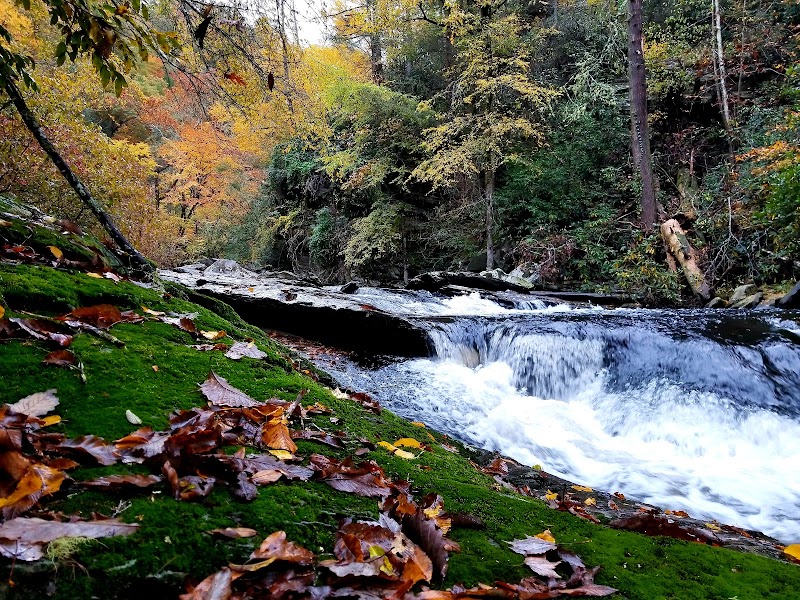 Waterfall Adventure at Coker Creek Falls Lower Trailhead, Reliance, TN surrounding landscape